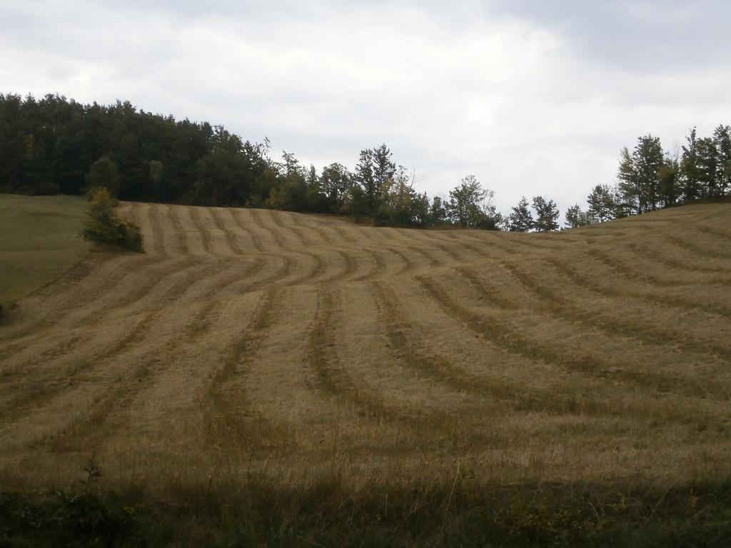 Societa Agricola Cacigolara Villa Borgo Val di Taro Eksteriør billede