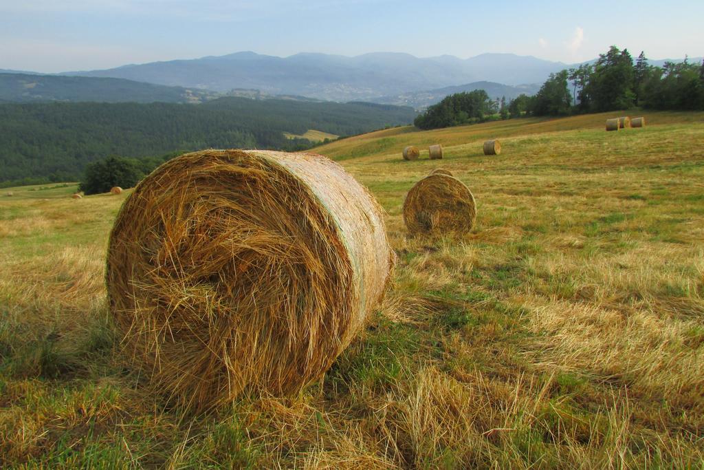 Societa Agricola Cacigolara Villa Borgo Val di Taro Eksteriør billede