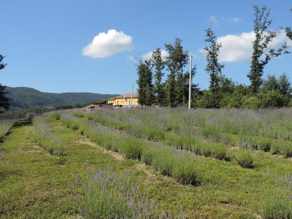 Societa Agricola Cacigolara Villa Borgo Val di Taro Eksteriør billede