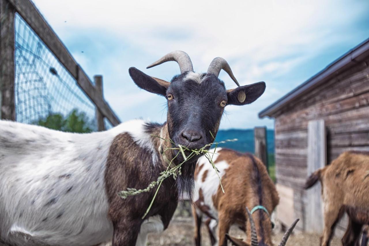 Societa Agricola Cacigolara Villa Borgo Val di Taro Eksteriør billede